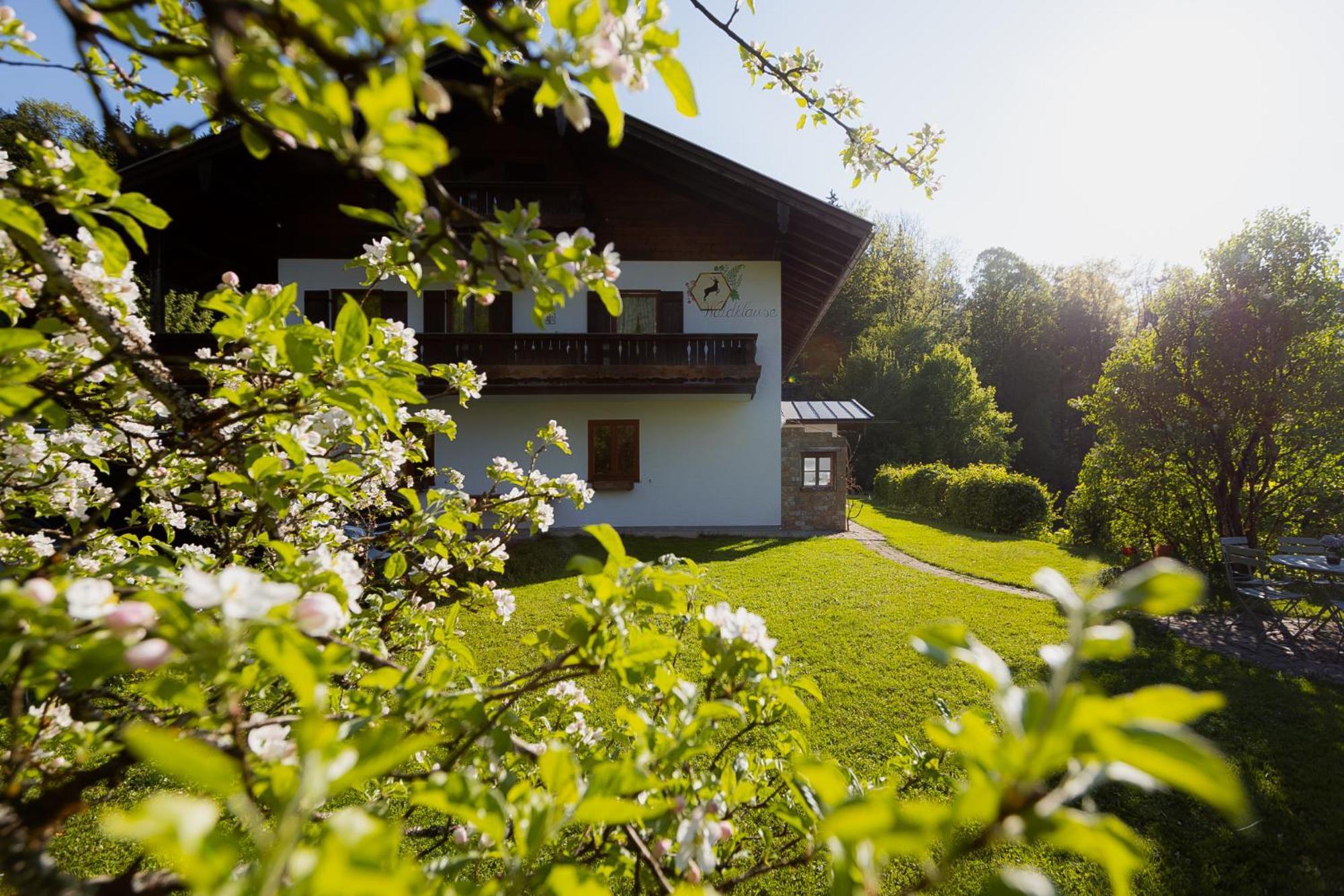 Ferienwohnung Mankei Schoenau am Koenigsee Exterior foto